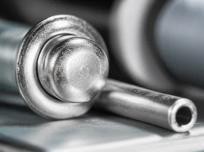 Illustration pintails - Image 1