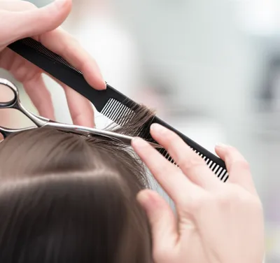 Illustration haircuts - Image 1