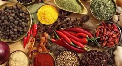 Illustration spice - Image 2