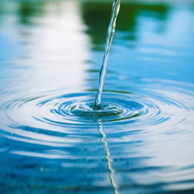 Illustration purer - Image 1