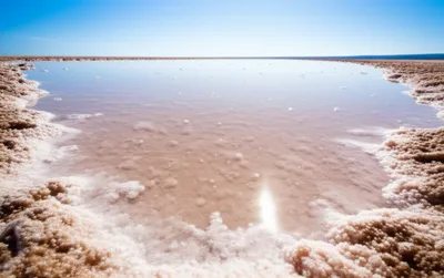 Illustration saline - Image 1