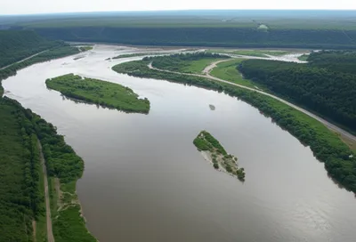 Illustration tributaries