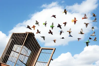 Illustration lease - Image 1