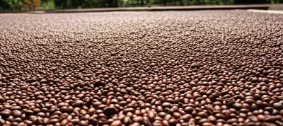 Illustration barbeque - Image 1