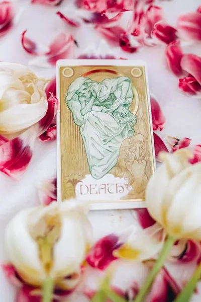 Illustration arcana - Image 2