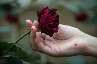 Illustration wounding