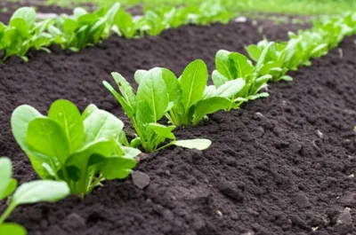 Illustration clamping - Image 1