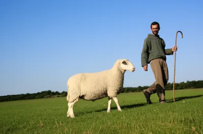 Illustration docile - Image 1