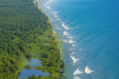 Illustration merges - Image 1