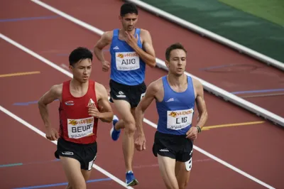 Illustration rabbits - Image 1