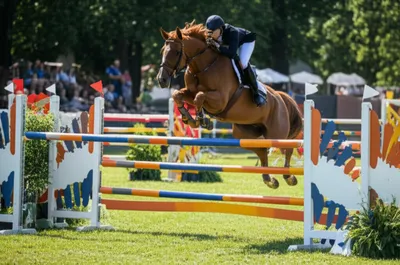 Illustration jump - Image 1