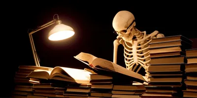 Illustration boned - Image 1