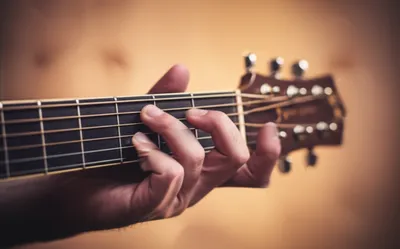 Illustration plunked - Image 1