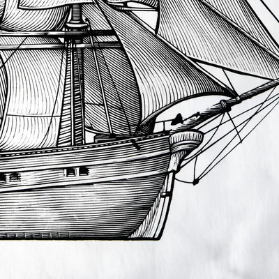 Illustration engravings - Image 1