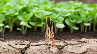 Illustration disadvantage - Image 1