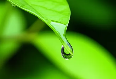 Illustration trickle - Image 1