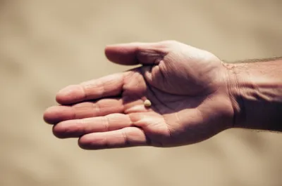 Illustration macroscopic - Image 1