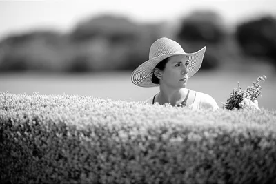 Illustration fences - Image 1