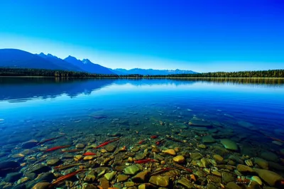 Illustration clearer - Image 1