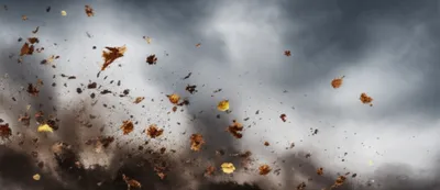 Illustration scud - Image 1