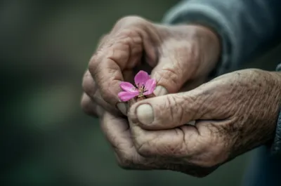 Illustration callousness - Image 1