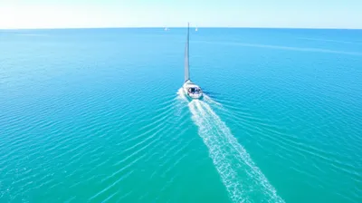 Illustration cruised - Image 1