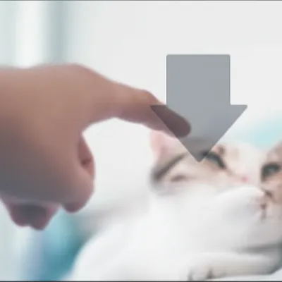 Illustration dislike - Image 1