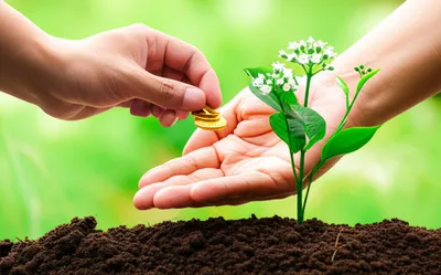 Illustration repayment