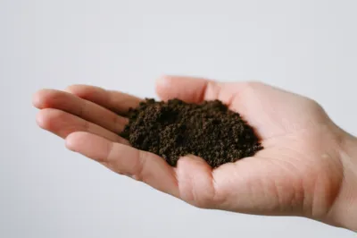 Illustration mound - Image 1