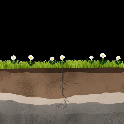 Illustration underground - Image 1