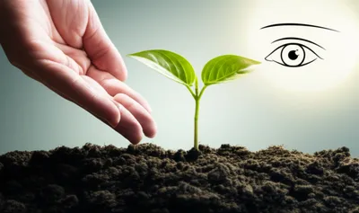 Illustration see - Image 1