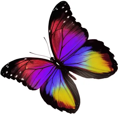 Illustration symmetries