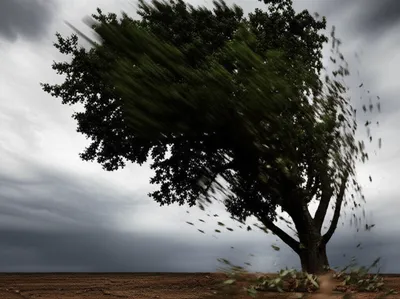 Illustration rock - Image 1