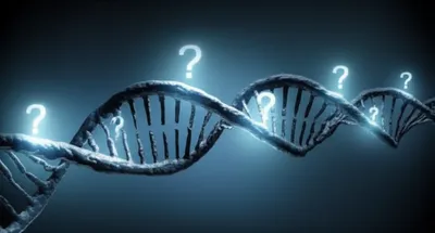 Illustration candidates - Image 1