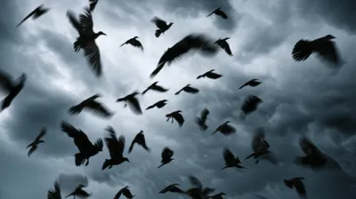 Illustration toss - Image 1