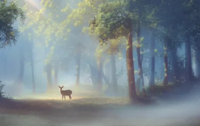 Illustration hushed - Image 1