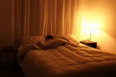 Illustration racks - Image 1