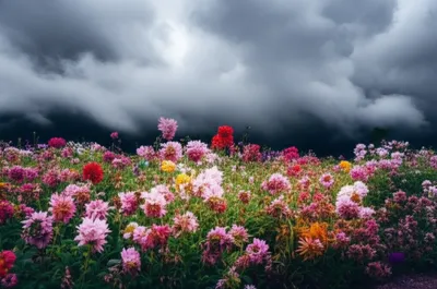 Illustration sadden - Image 1