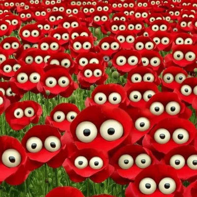 Illustration poppy - Image 1