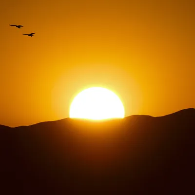 Illustration up - Image 1