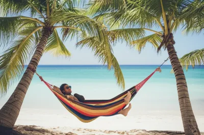 Illustration lounges - Image 1