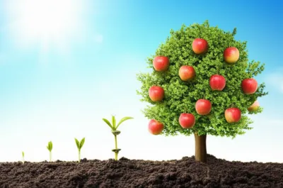 Illustration accomplishments - Image 1