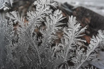 Illustration deposition - Image 1