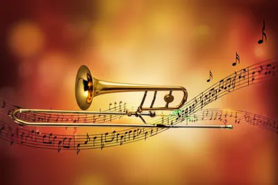 Illustration bone - Image 1