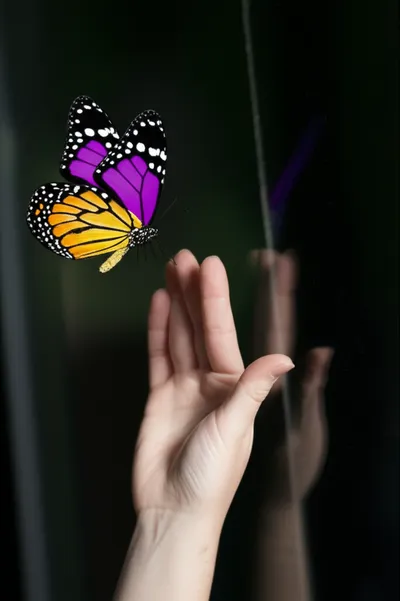 Illustration corrective - Image 1