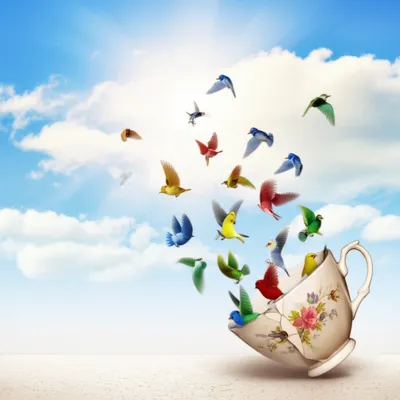 Illustration slips - Image 1