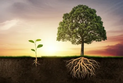 Illustration adult - Image 1