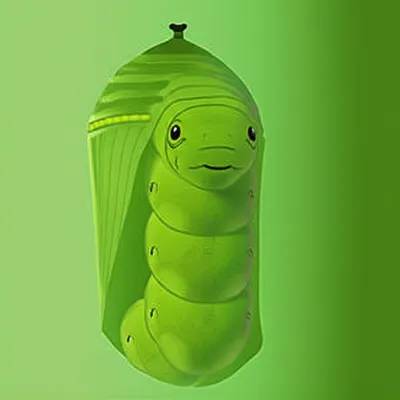 Illustration transformed - Image 1