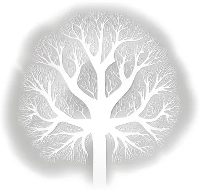 Illustration arborvitae - Image 1