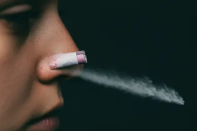 Illustration sniffing - Image 1